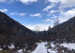 白蛇和青蛇的传说，青蛇其实是男儿身