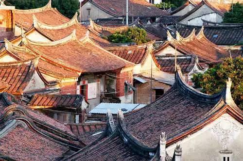 僵尸任务